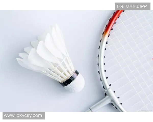 羽毛球战术解析：探秘上海羽毛球队的边路渗透技巧与策略